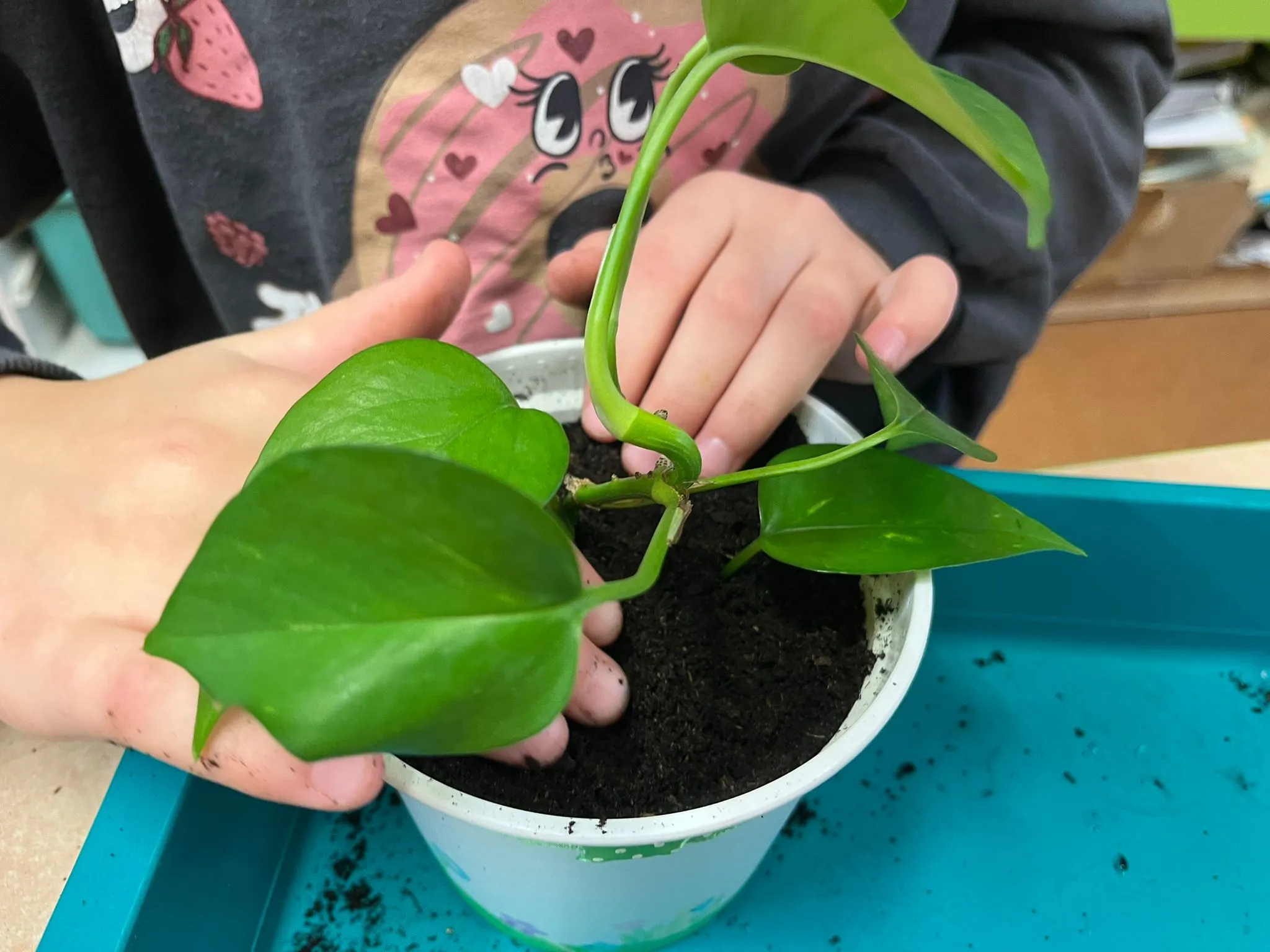 Dziecko sadzi roślinę doniczkową podczas zajęć.
